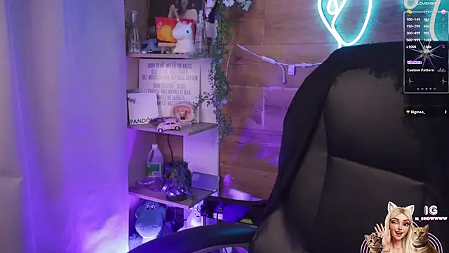 Miila_snow webcam