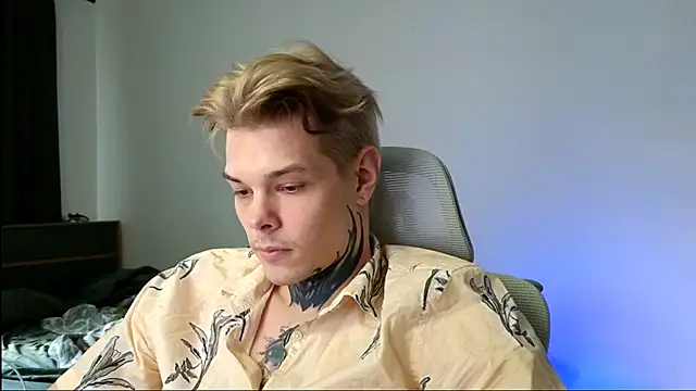 DENIS_HERE webcam