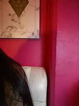 MaverickGray webcam