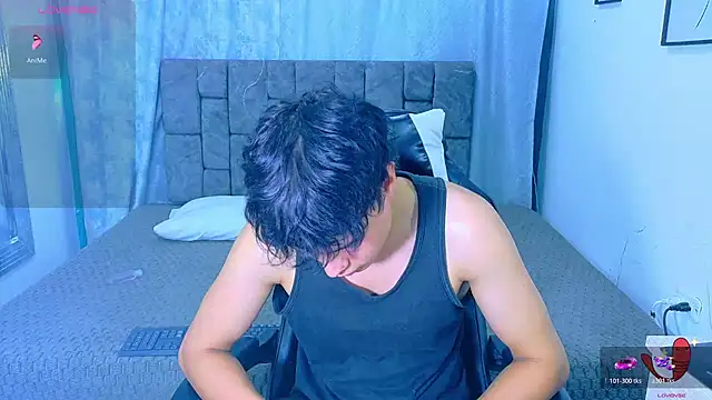 Dantekent webcam