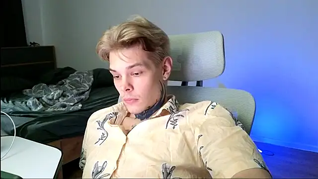 DENIS_HERE webcam