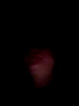 npmen webcam