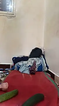 tslovetoys5