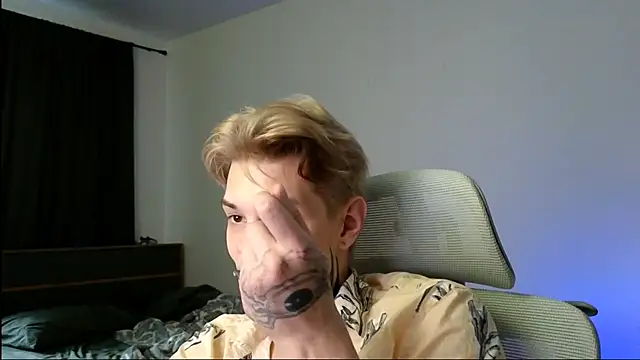 DENIS_HERE webcam