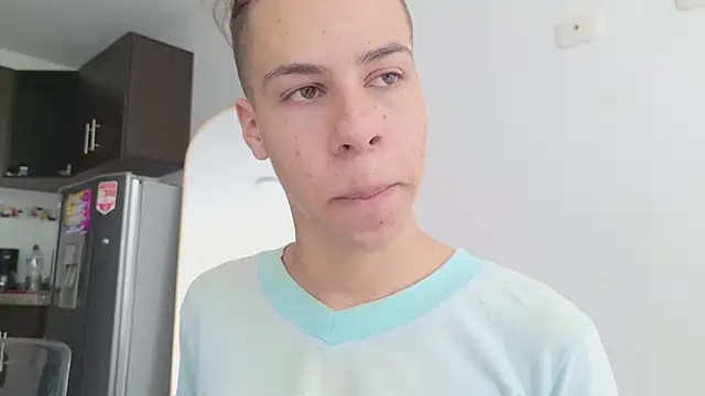 grey___27 webcam