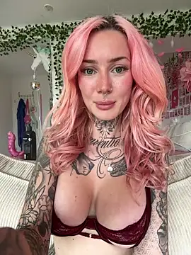 Stella-Kink webcam