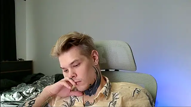 DENIS_HERE webcam
