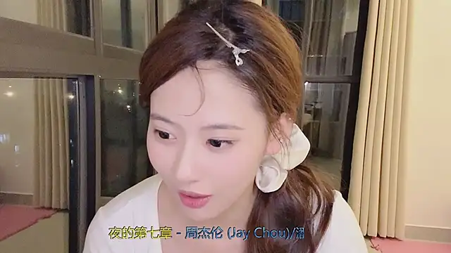 1X-NINI webcam
