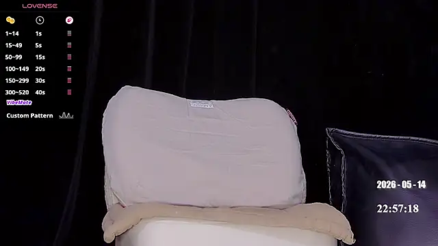 melia_Z webcam
