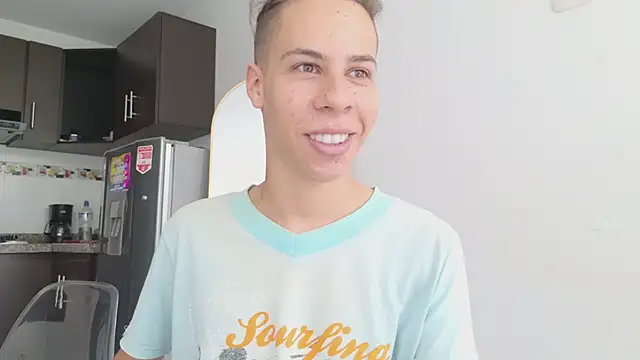 grey___27 webcam
