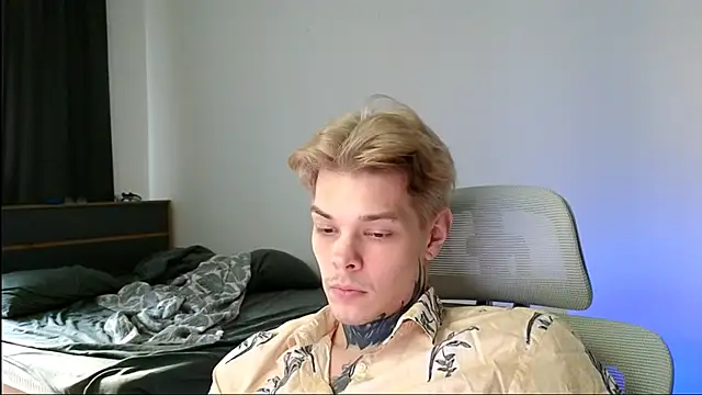 DENIS_HERE webcam
