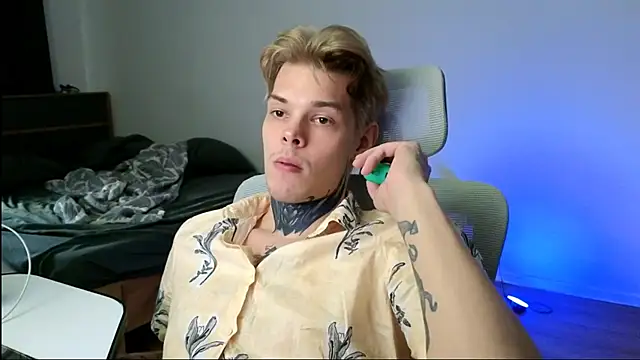 DENIS_HERE webcam