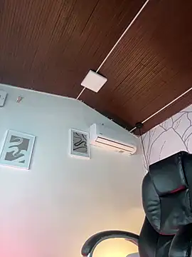 Samir_bear webcam