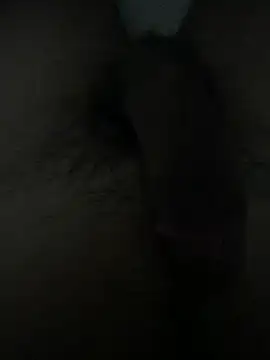 dzpieds webcam