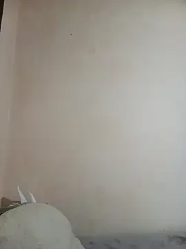 Calypso-Loove webcam