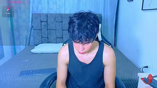 Dantekent webcam