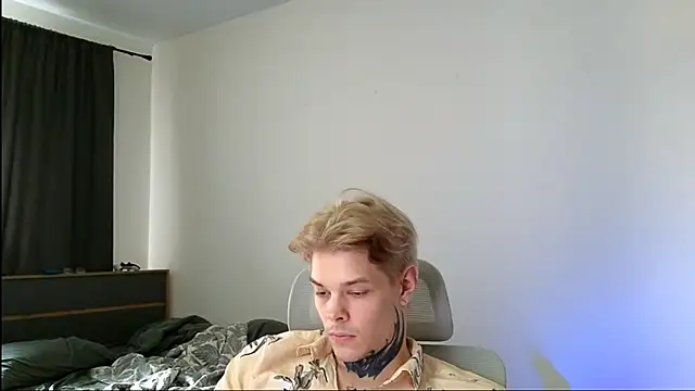 DENIS_HERE webcam