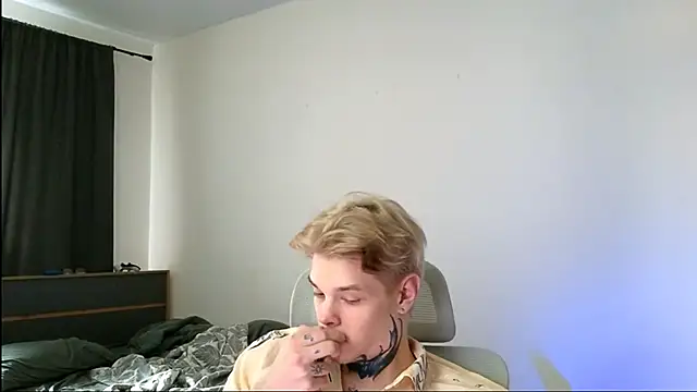 DENIS_HERE webcam