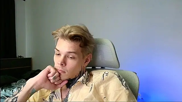DENIS_HERE webcam