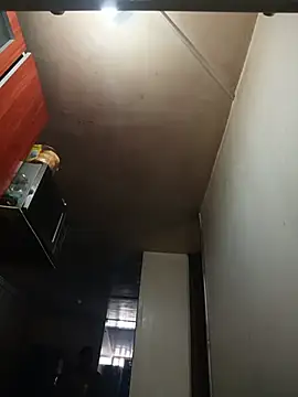 AvaChannel webcam