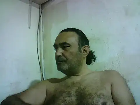 enginbasar webcam