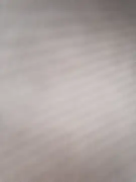 olivbisoumis webcam