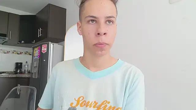 grey___27 webcam