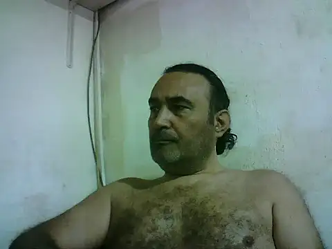 enginbasar webcam