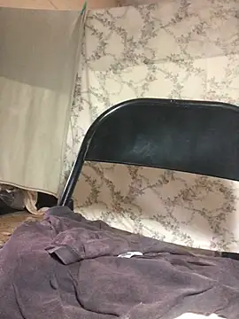 CaptainFox webcam