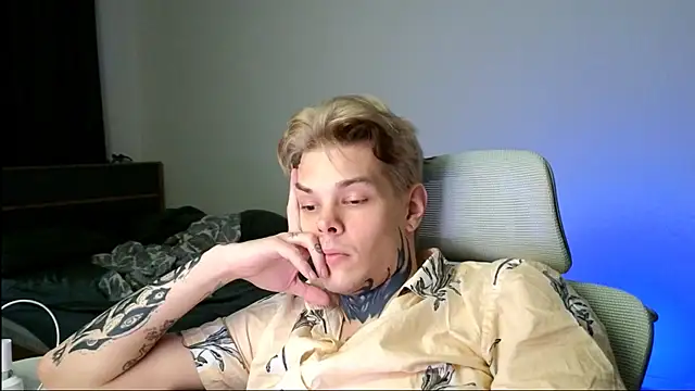 DENIS_HERE webcam