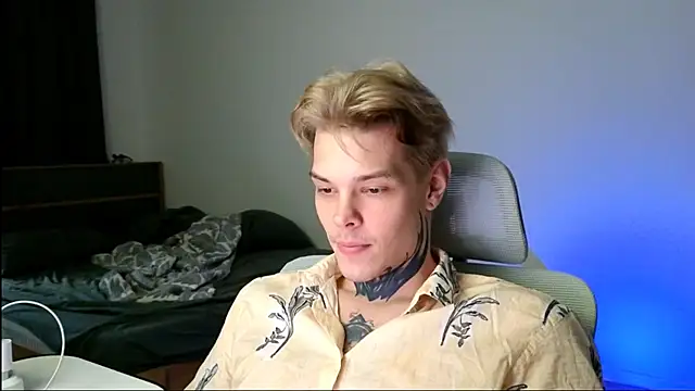 DENIS_HERE webcam