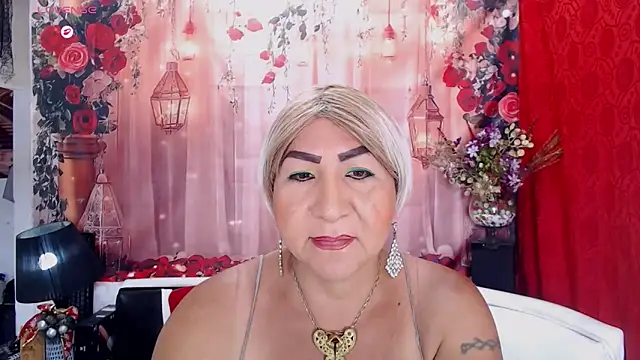 SEBAIS4YOU webcam