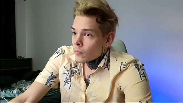 DENIS_HERE webcam
