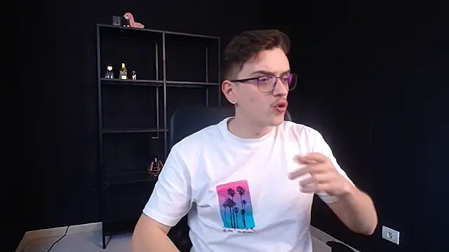 FelixStarkk webcam