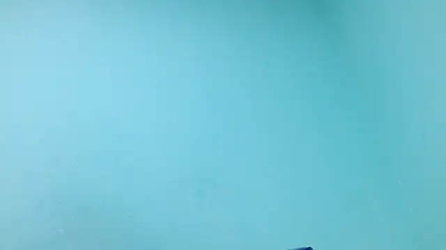 churcavagina40 webcam