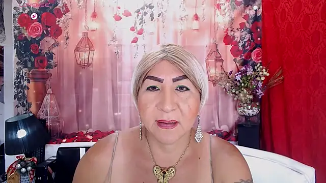 SEBAIS4YOU webcam