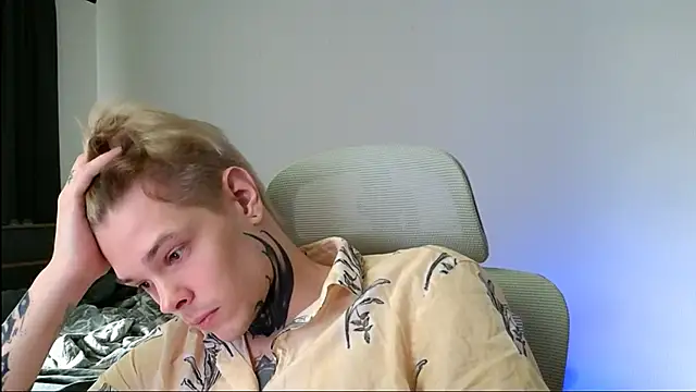 DENIS_HERE webcam