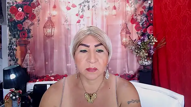 SEBAIS4YOU webcam