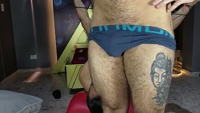Haraldsmed webcam