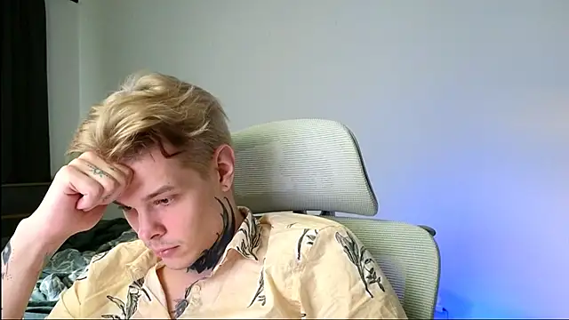 DENIS_HERE webcam