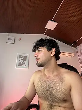 Samir_bear webcam