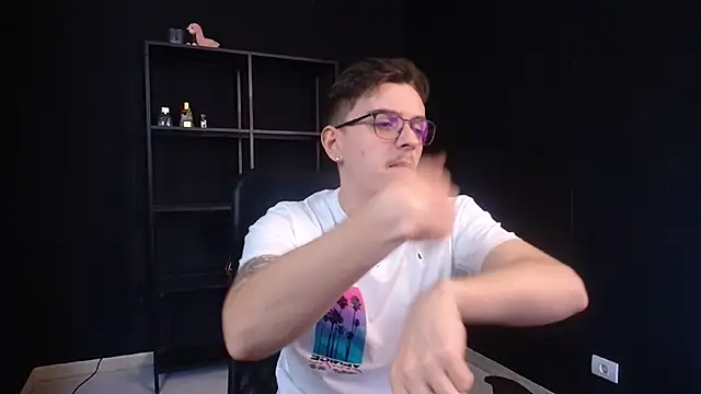 FelixStarkk webcam