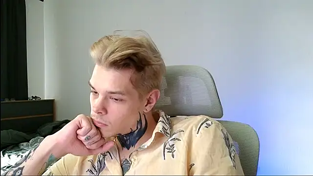 DENIS_HERE webcam