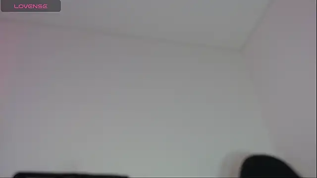aronleblanc_ webcam