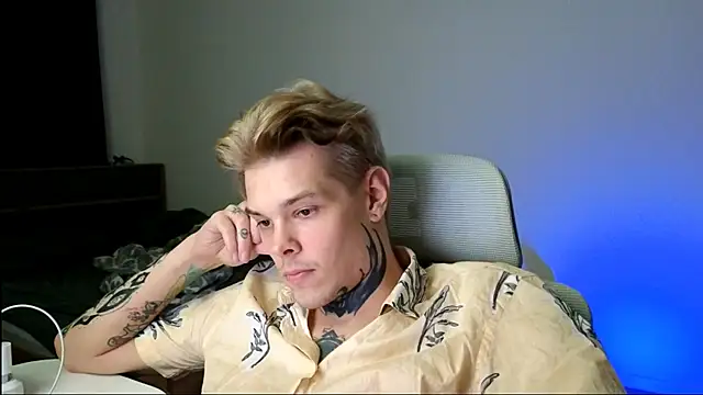 DENIS_HERE webcam