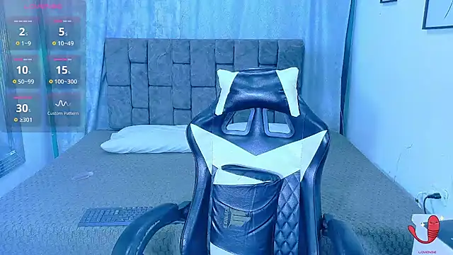 Dantekent webcam