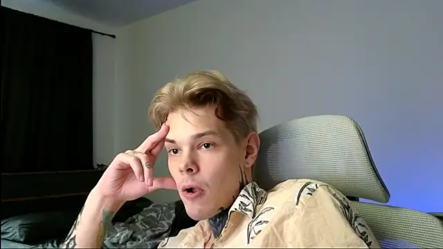 DENIS_HERE webcam