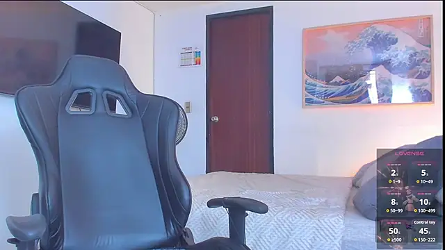 RJBarto webcam
