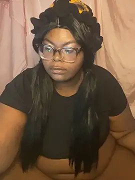 nylatheupgrade webcam