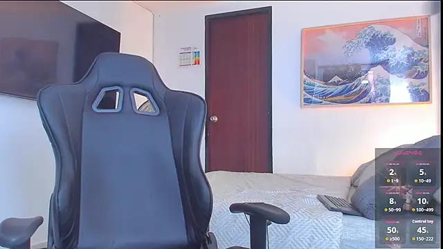 RJBarto webcam